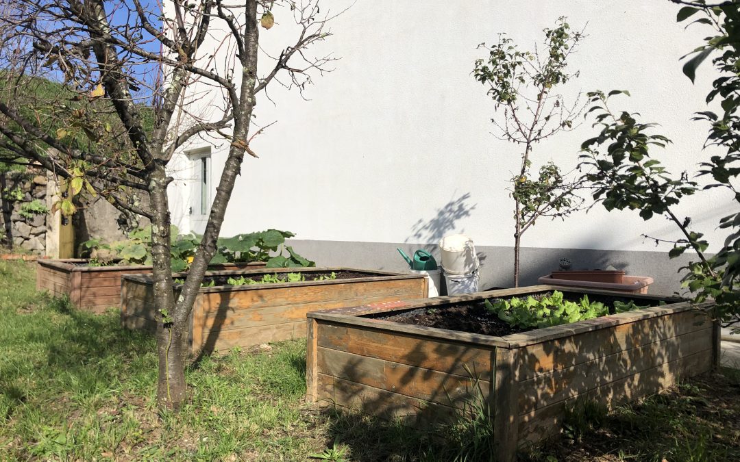 ŠOLSKI VRT in SOLATNI PIKNIK